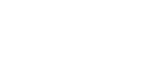DSI Logo